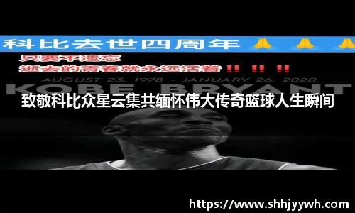BB贝博登录入口