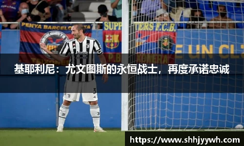 BB贝博艾佛森